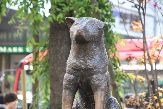 Hachikō